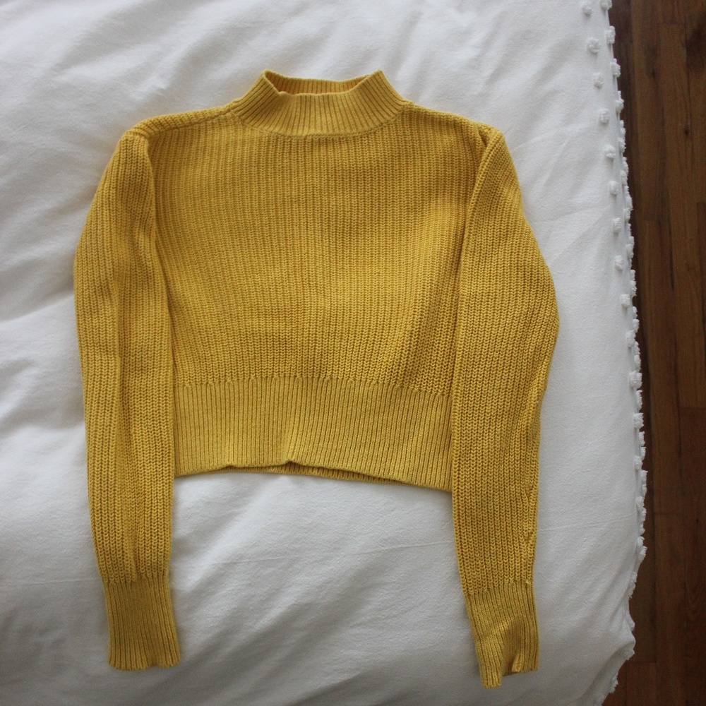 Pacsun Cropped Sweater - Picture 3 of 4